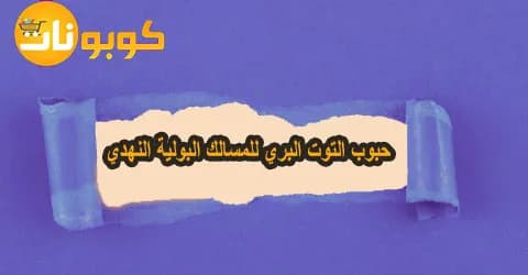 حبوب التوت البري للمسالك البولية النهدي وأضرارها وسبل خصم 55%