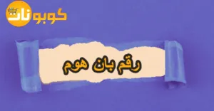 رقم بان هوم للتواصل المباشر الفعال مع كيفية التوفير إلى 75 %