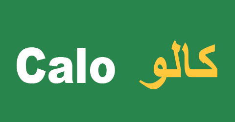جولي-شيك-jollychic